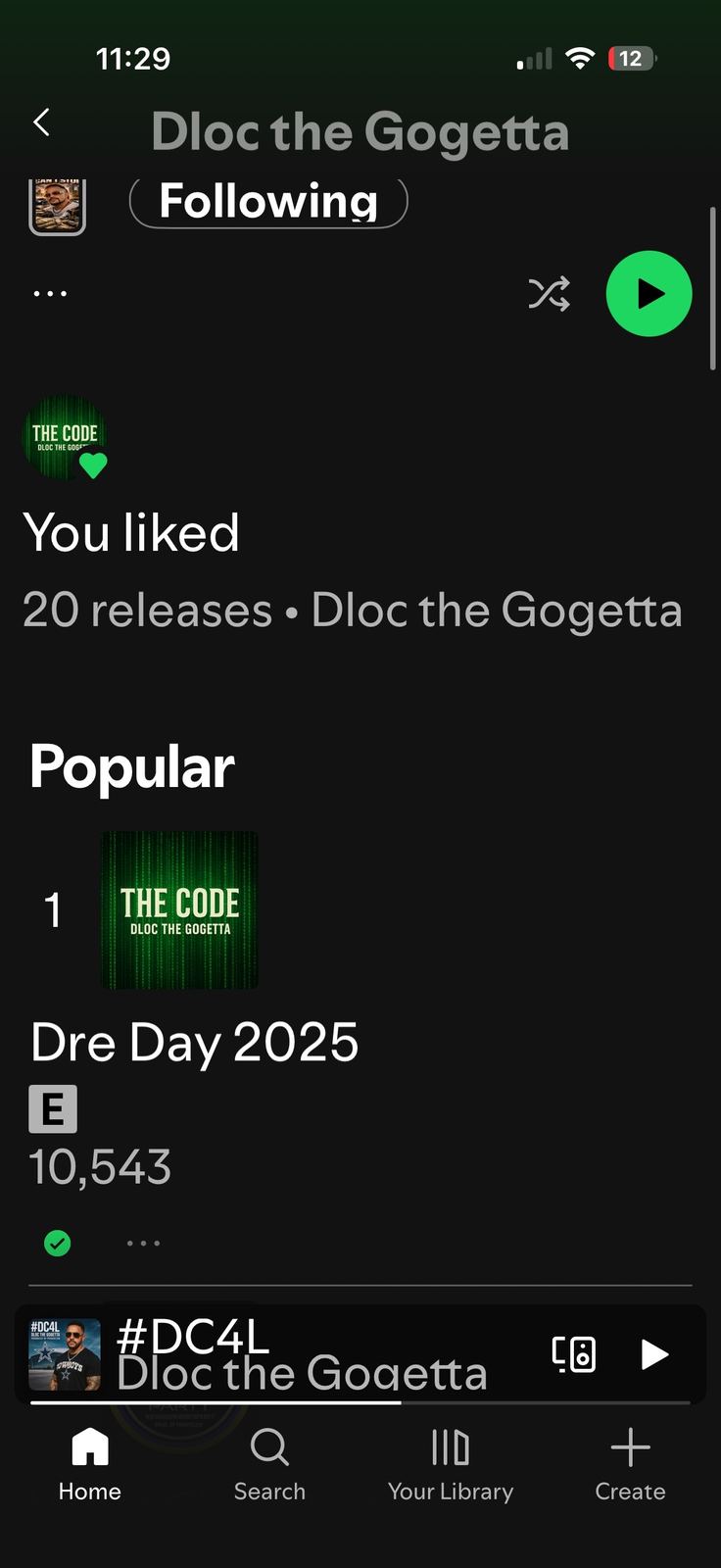 Dloc The Gogetta legacy photo 144